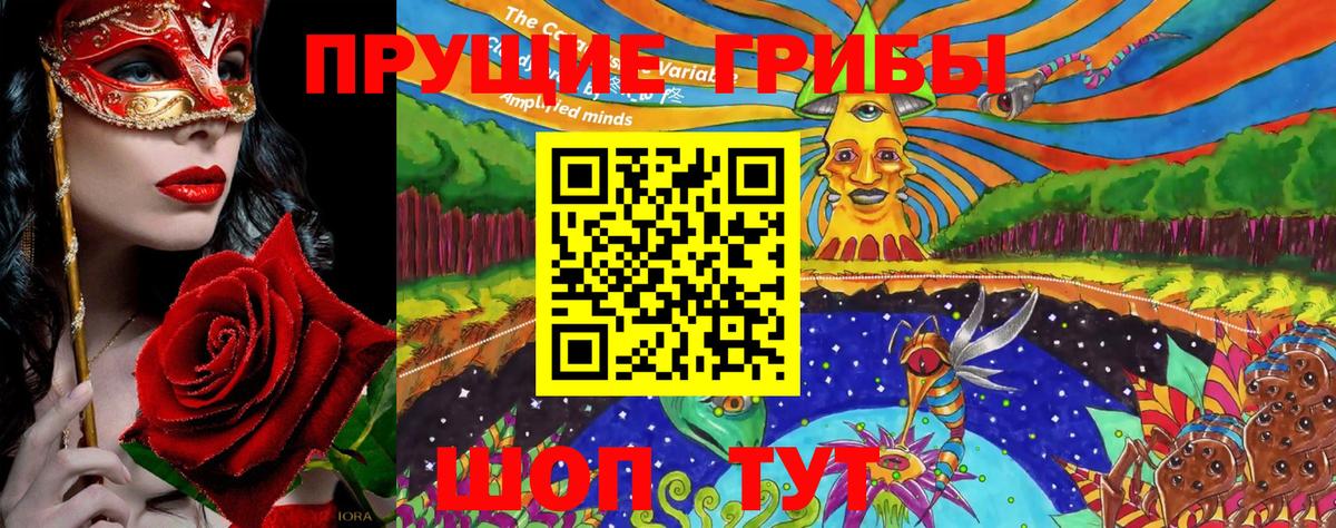 где найти   Вход с VPN  Ярославль  Галлюциногенные грибы мухоморы 