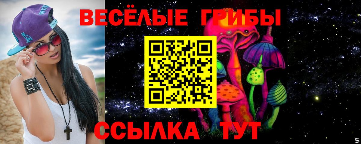 Псилоцибиновые грибы Ярославль