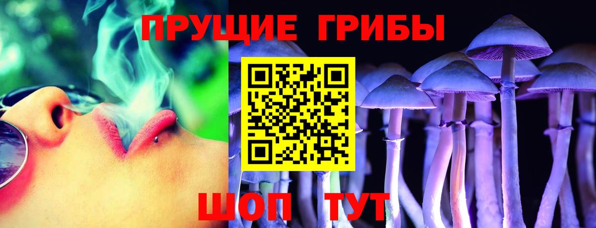 Галлюциногенные грибы MAGIC MUSHROOMS Ярославль